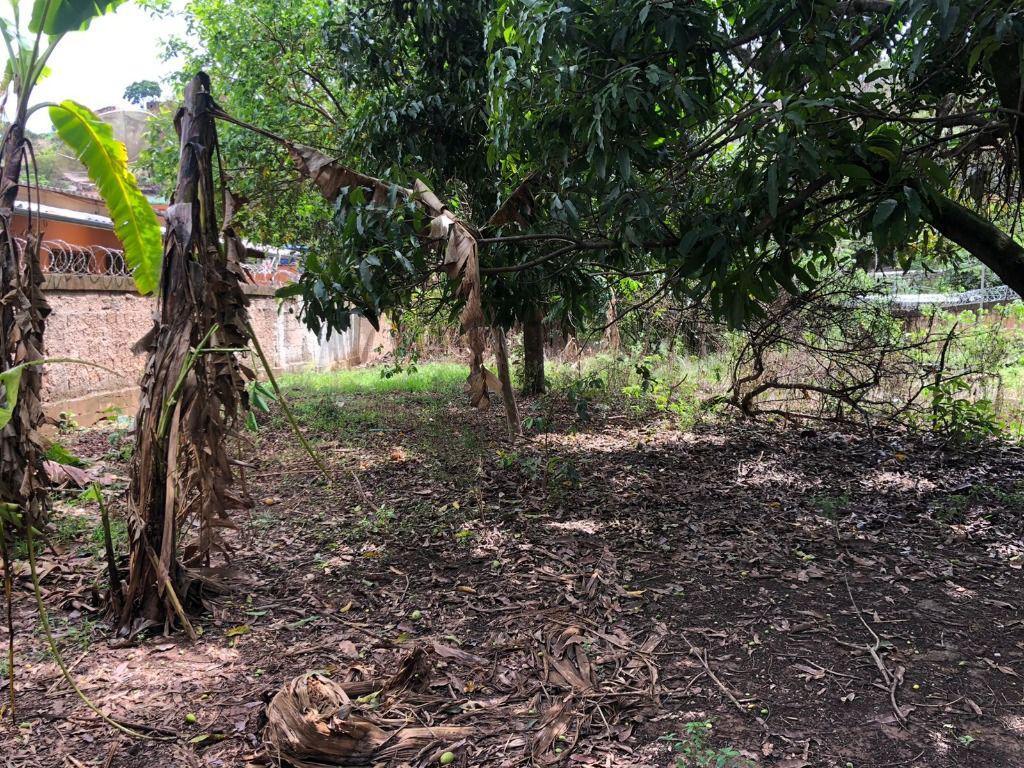 Lote, Santo Antônio (roça Grande), 0 Quarto, 0 Vaga