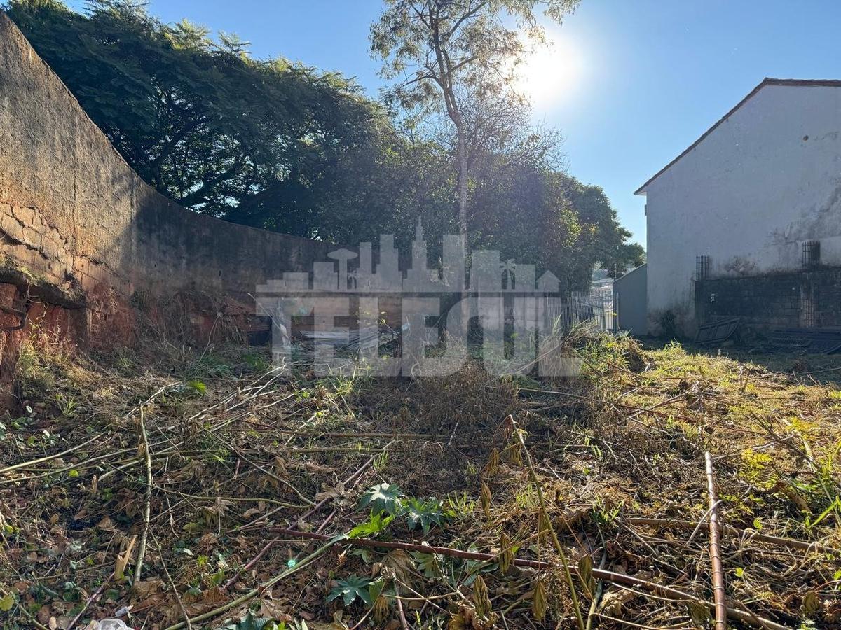 Lote, Novo Horizonte, 0 Quarto, 0 Vaga