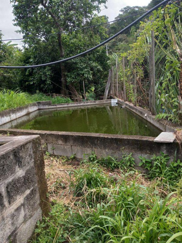 Fazenda, Jardim Rosario, 4 Quartos, 20 Vagas, 1 Suíte
