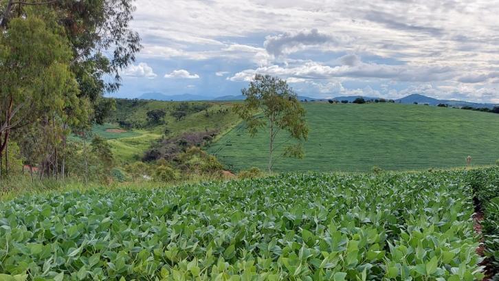 Fazenda, Zona Rural, 3 Quartos, 0 Vaga