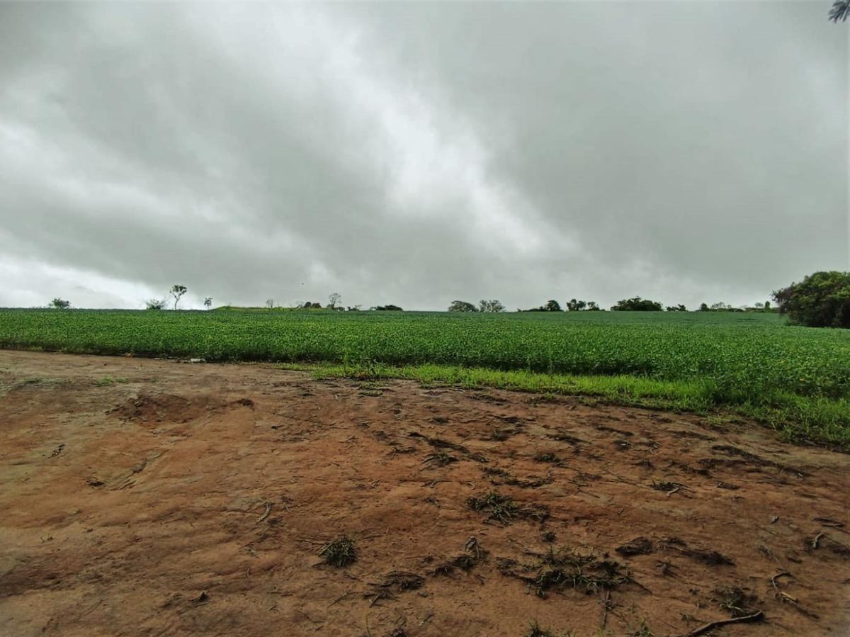 Fazenda, Centro, 0 Quarto, 0 Vaga, 1 Suíte