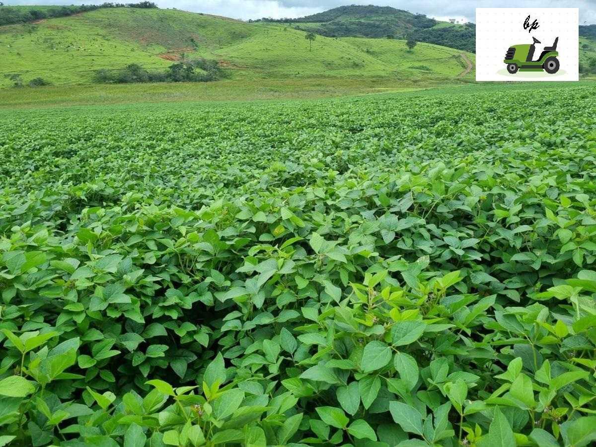 Fazenda, Zona Rural, 3 Quartos, 0 Vaga