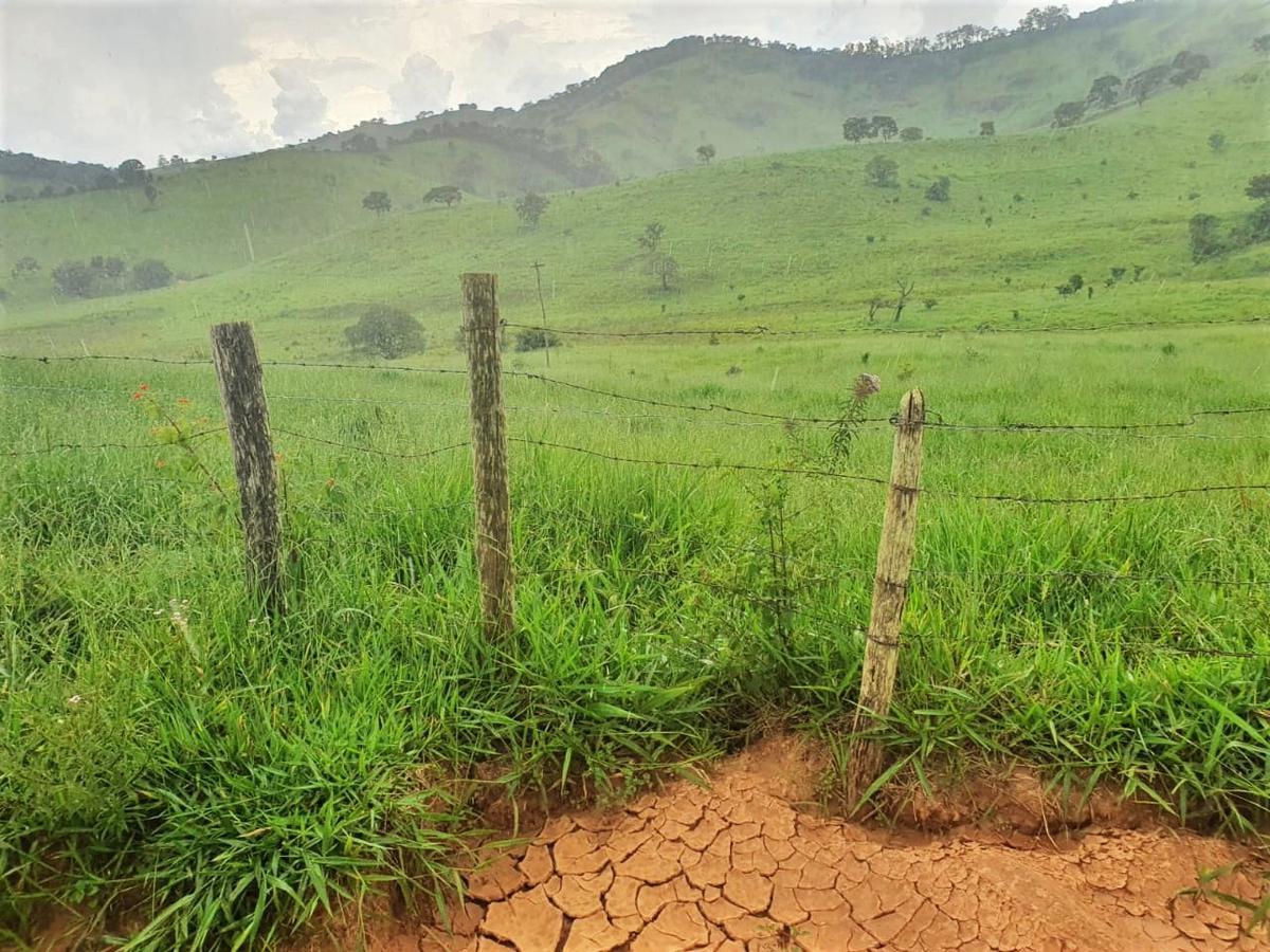 Fazenda, Centro, 3 Quartos, 0 Vaga