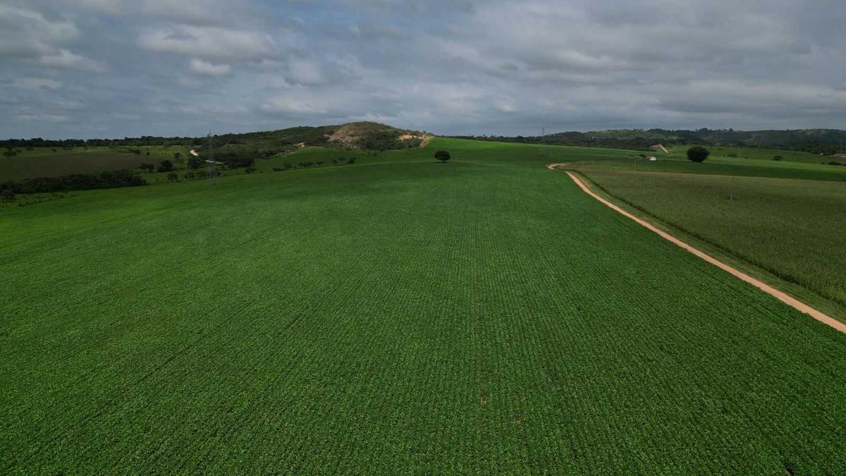 Fazenda, Zona Rural, 3 Quartos, 0 Vaga