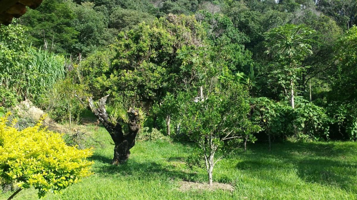 Lote, Bela Vista, 0 Quarto, 5 Vagas, 1 Suíte