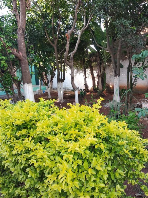 Casa, Campo Verde, 2 Quartos, 1 Vaga
