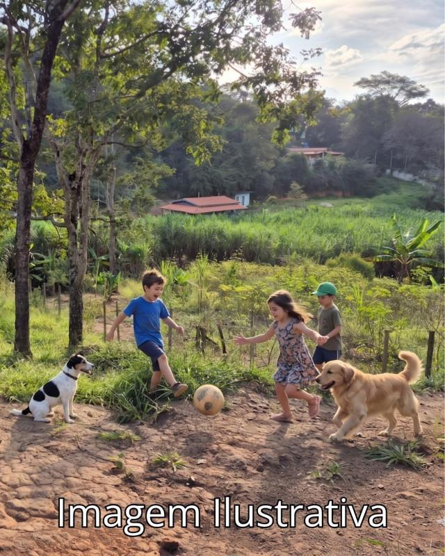 Lote, Gentileza, 0 Quarto, 0 Vaga