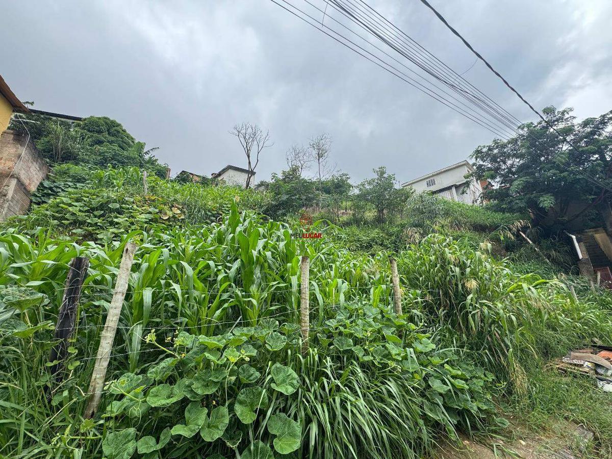 Lote, Independência, 0 Quarto, 0 Vaga