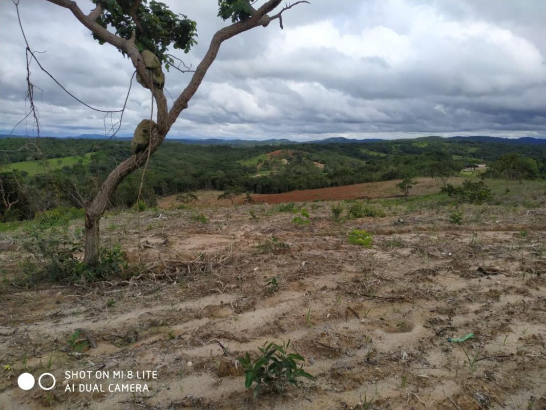 Fazenda, Centro, 0 Quarto, 0 Vaga