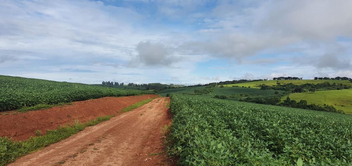 Fazenda, Zona Rural, 3 Quartos, 1 Vaga, 1 Suíte