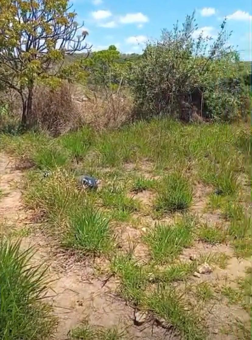 Lote, Florença, 0 Quarto, 0 Vaga