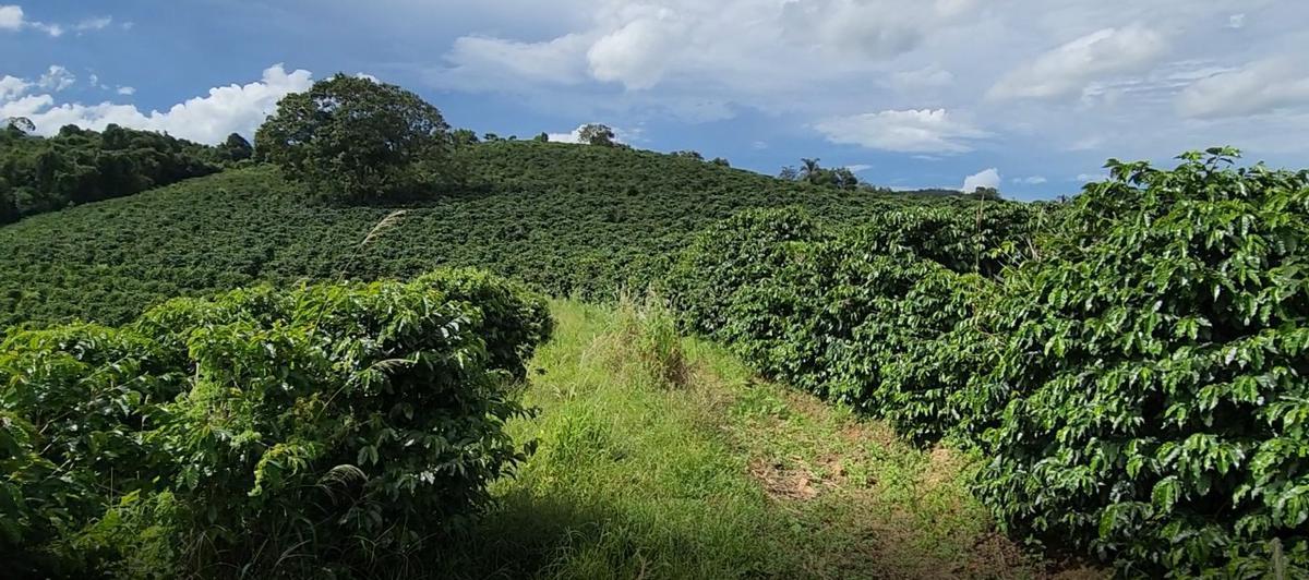 Fazenda, Zona Rural, 3 Quartos, 0 Vaga