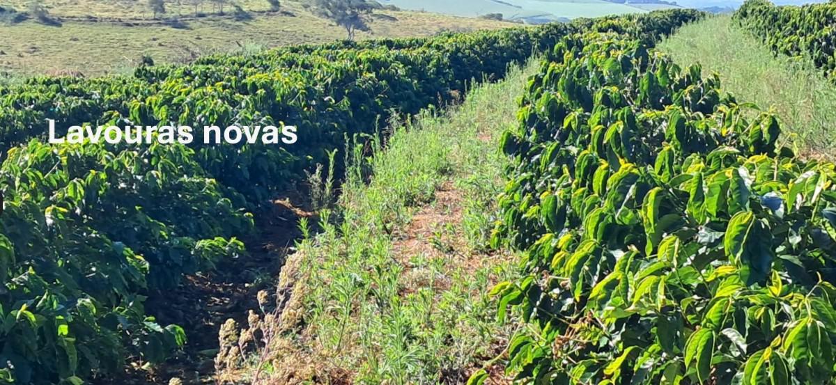 Fazenda, Zona Rural, 0 Quarto, 0 Vaga