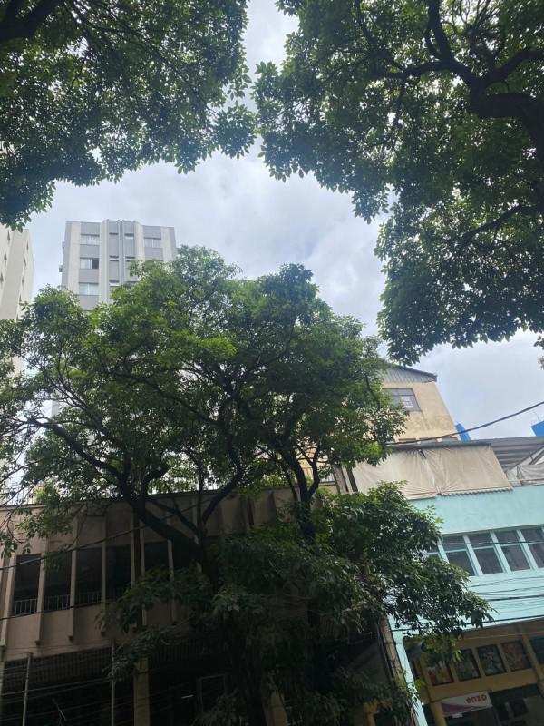 Apartamento, Lourdes, 1 Quarto, 1 Vaga