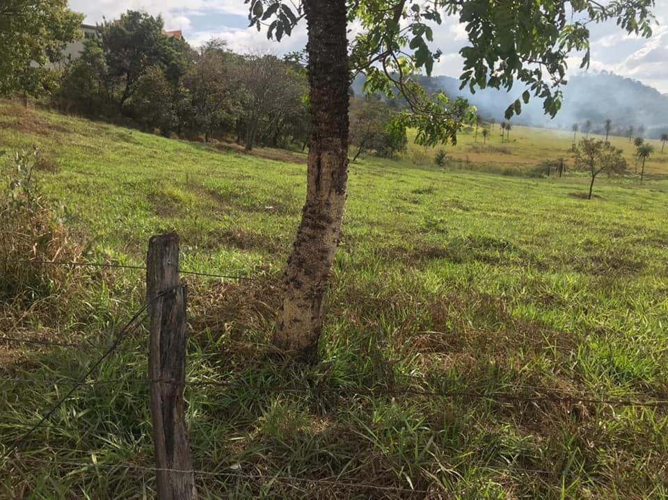 Lote, Centro (justinópolis), 0 Quarto, 0 Vaga