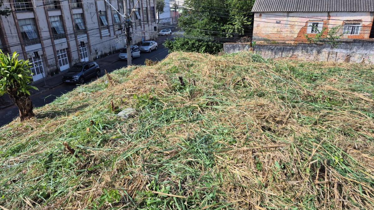 Lote, Concórdia, 0 Quarto, 0 Vaga