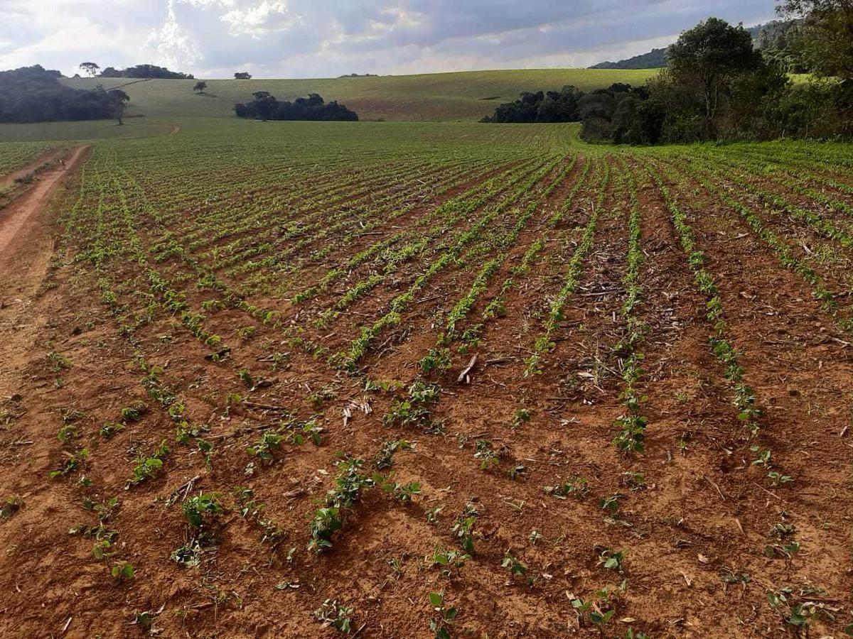Fazenda, Centro, 0 Quarto, 0 Vaga