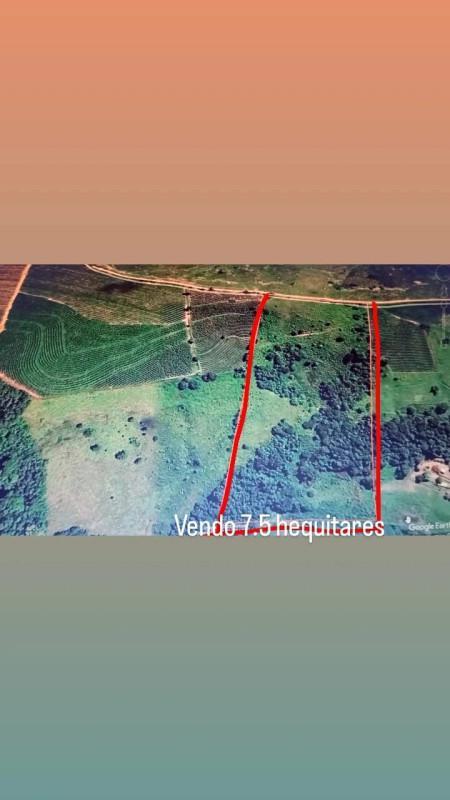 Fazenda, Centro, 0 Quarto, 0 Vaga