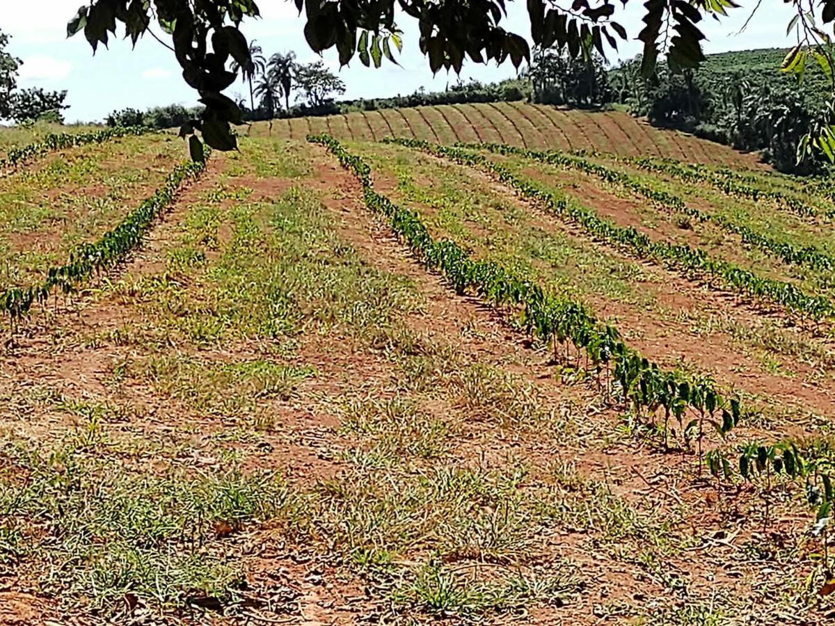 Fazenda, Zona Rural, 3 Quartos, 3 Vagas