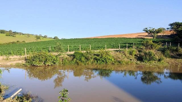 Fazenda, Centro, 5 Quartos, 2 Vagas