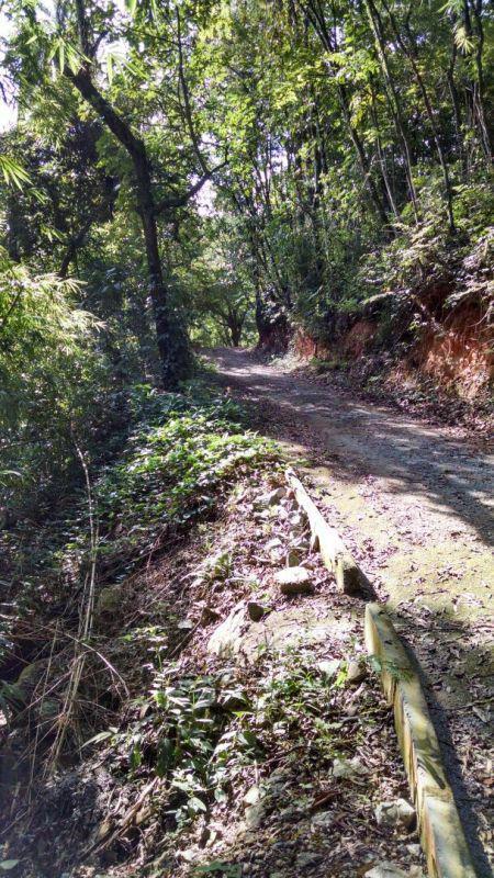 Fazenda, Rosário, 3 Quartos, 0 Vaga, 3 Suítes