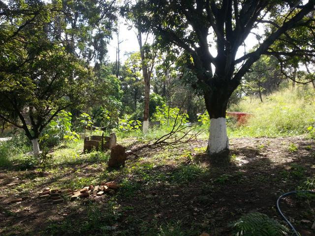 Lote, Parque Jardim Encantado, 2 Quartos, 10 Vagas, 0 Suíte