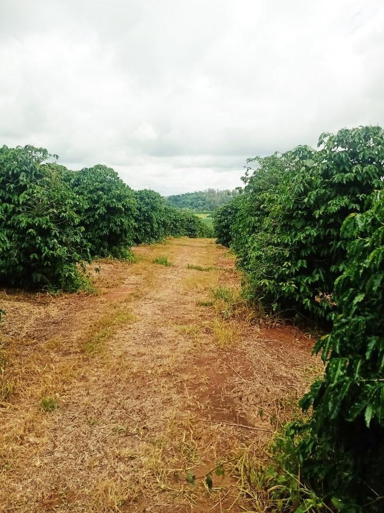 Fazenda, São Sebastião da Estrela, 1 Quarto, 1 Vaga, 1 Suíte