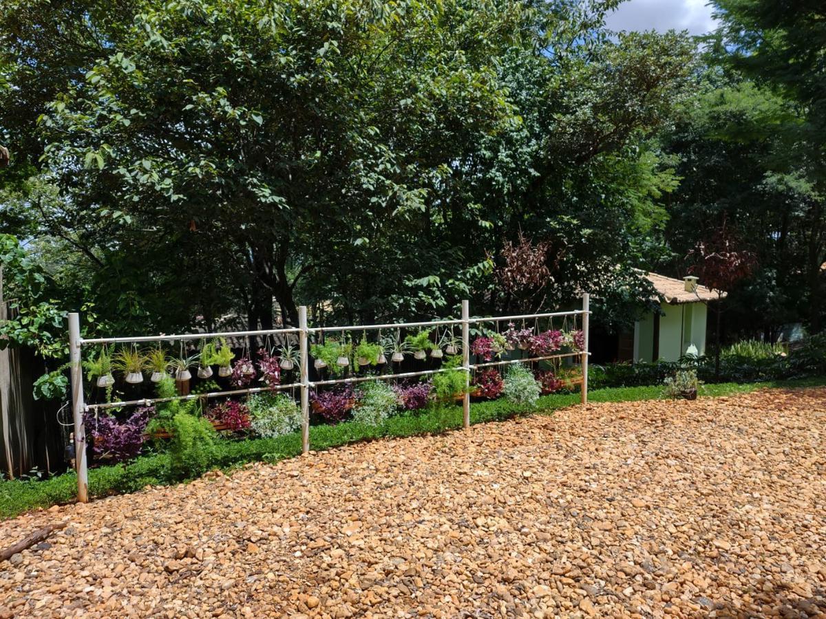 Lote, Enseada das Garças