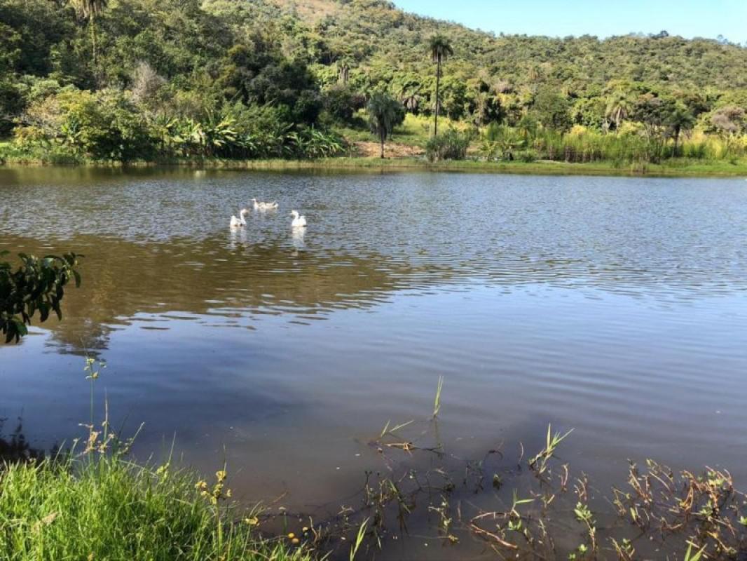 Fazenda, Centro, 0 Quarto, 0 Vaga