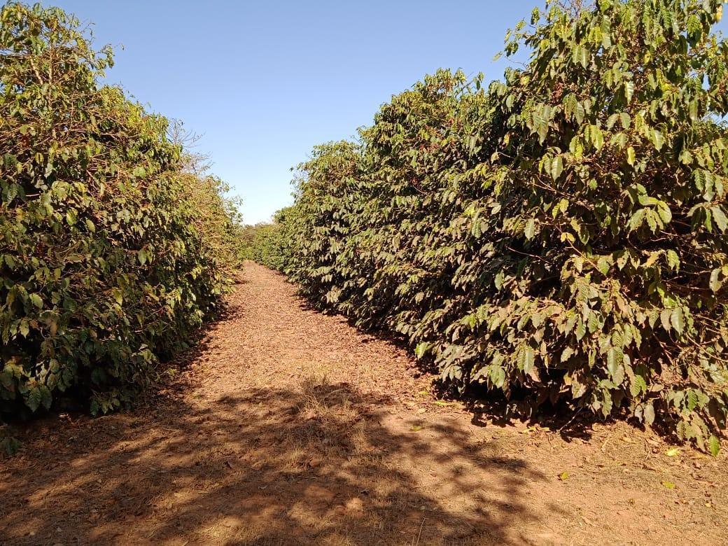 Fazenda, Zona Rural, 2 Quartos, 0 Vaga