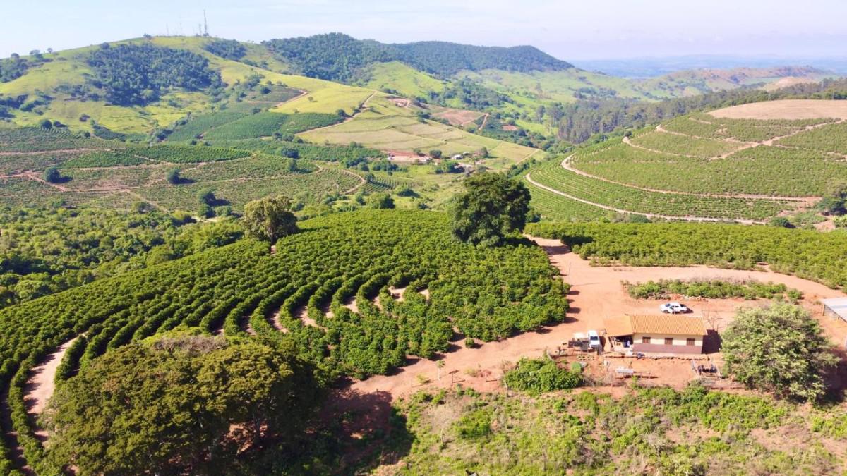 Fazenda, Centro, 0 Quarto, 0 Vaga