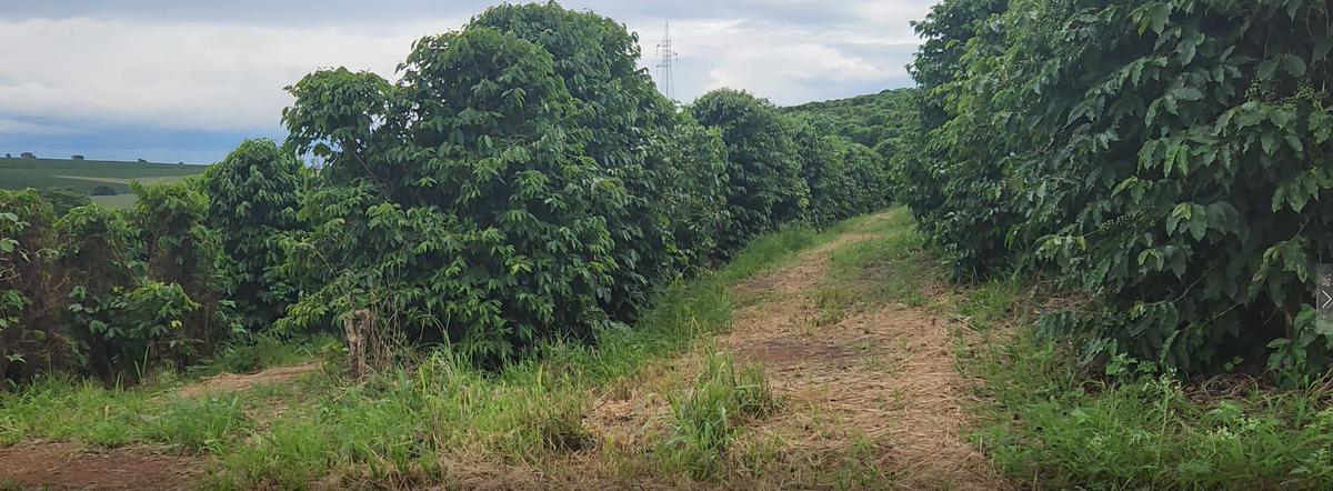 Fazenda, Zona Rural, 3 Quartos, 2 Vagas, 1 Suíte