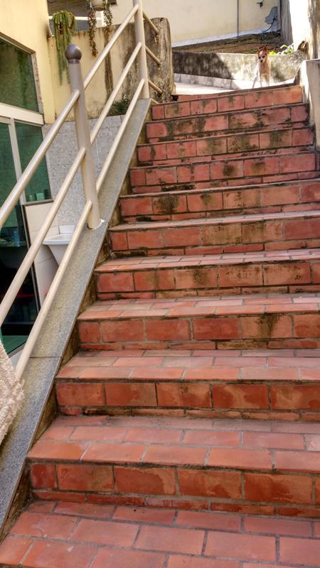 Casa, Eldorado, 4 Quartos, 5 Vagas, 1 Suíte