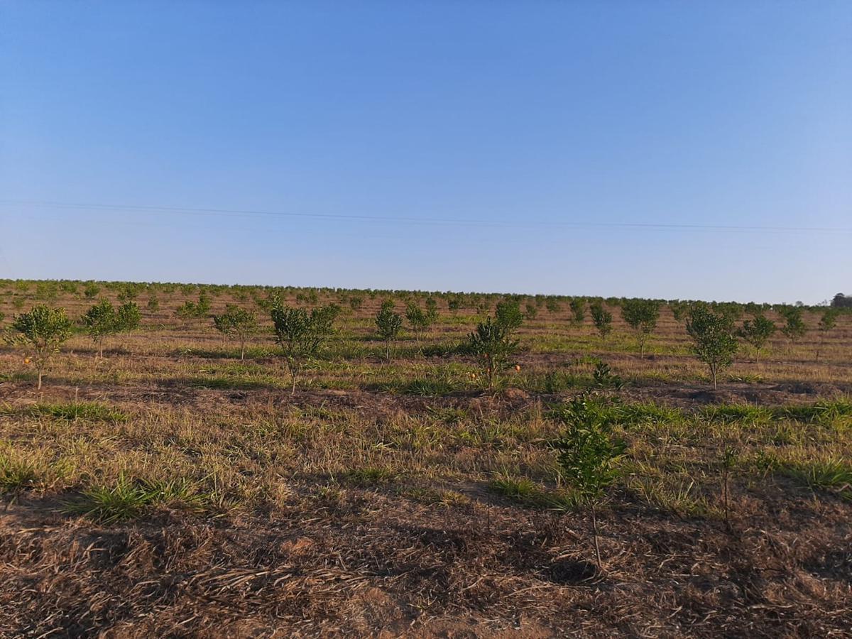 Fazenda, Zona Rural, 3 Quartos, 0 Vaga