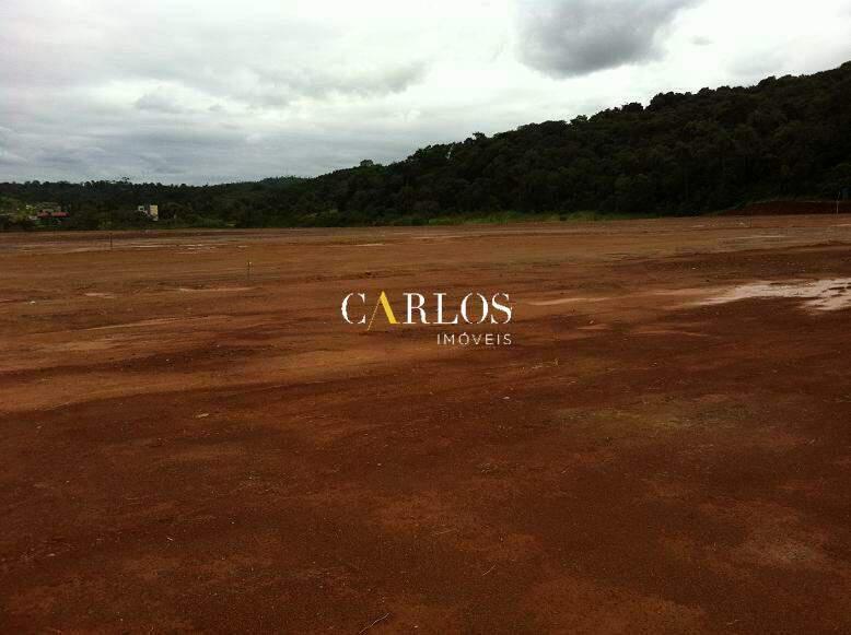 Lote, Kennedy