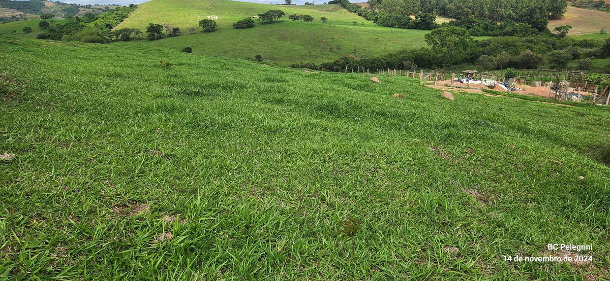 Fazenda, Centro, 3 Quartos, 0 Vaga
