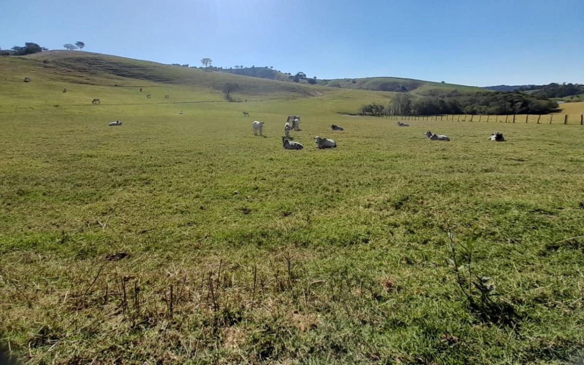 Fazenda, Zona Rural, 3 Quartos, 0 Vaga