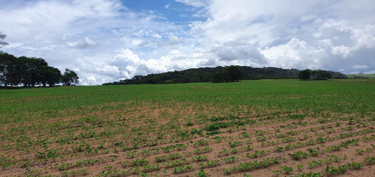 Fazenda, Centro, 1 Quarto, 1 Vaga, 1 Suíte