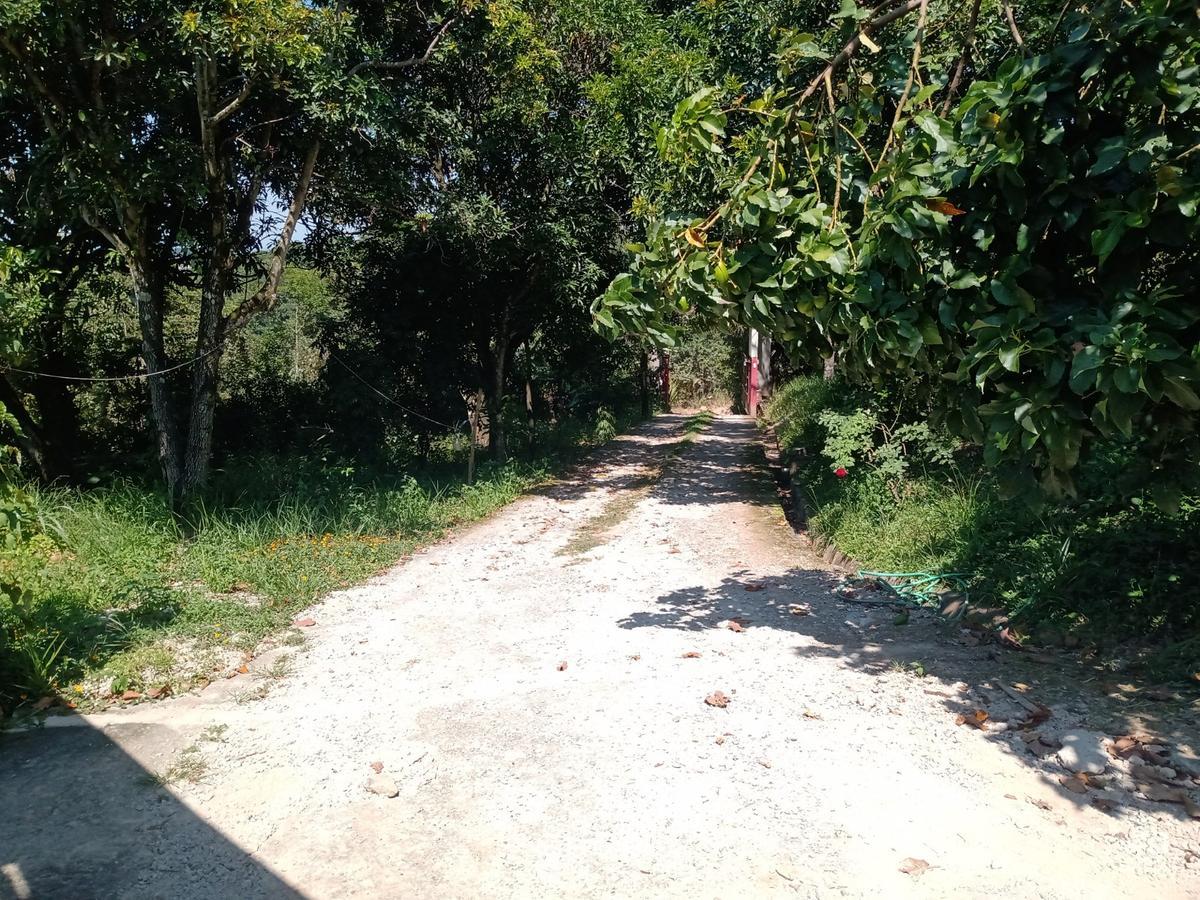 Chácara, Bandeirinhas