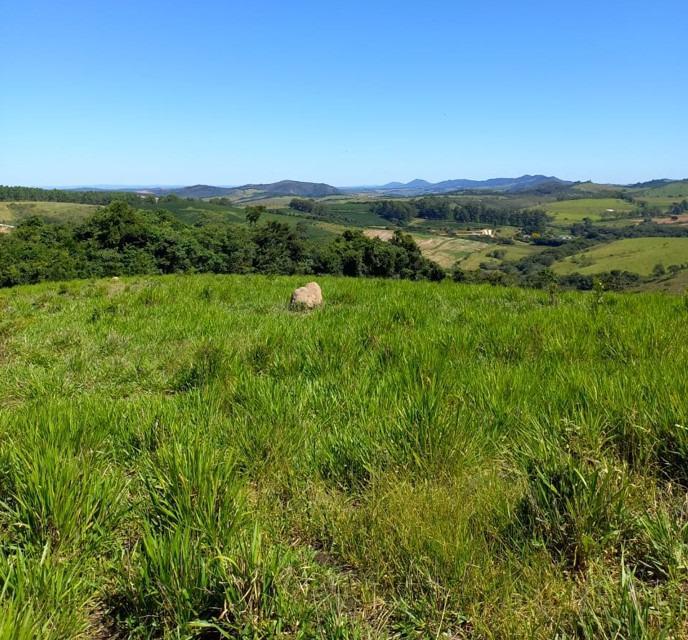 Fazenda, Centro, 3 Quartos, 0 Vaga