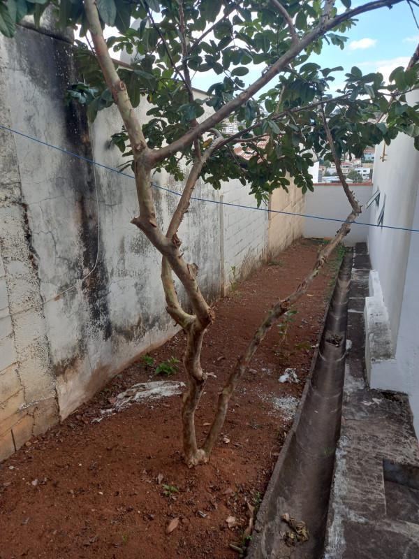 Casa, Centro, 0 Quarto, 0 Vaga