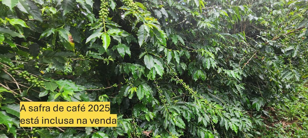 Fazenda, Zona Rural, 0 Quarto, 0 Vaga