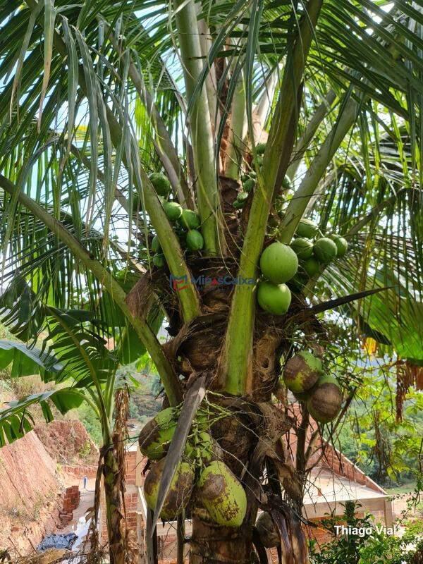 Fazenda, Córrego do Caçador, 0 Quarto, 20 Vagas