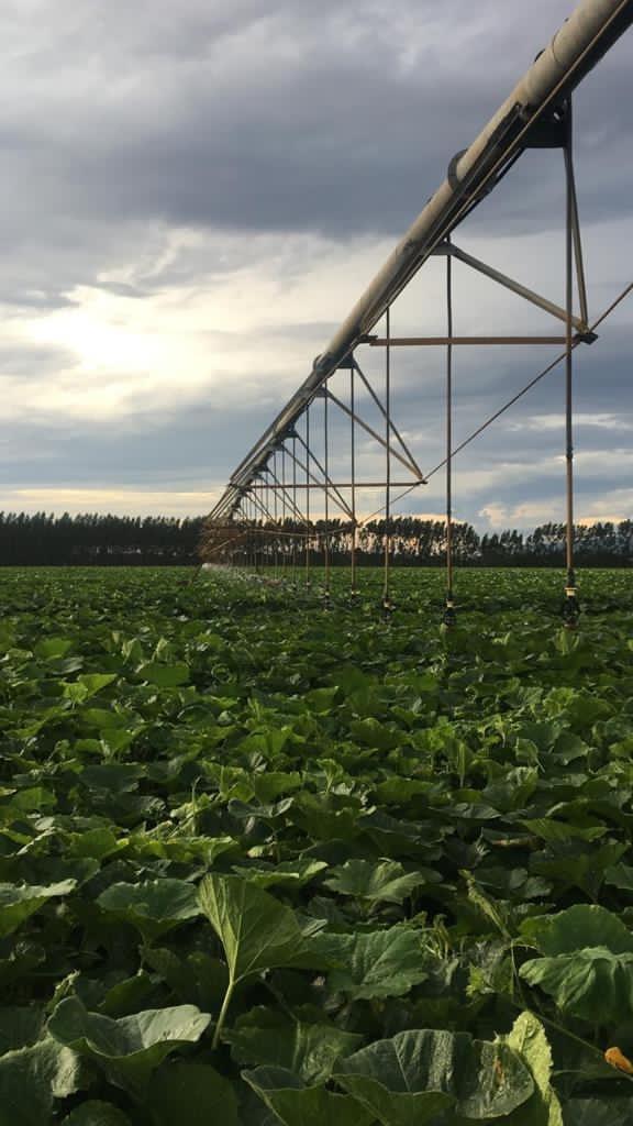 Fazenda, Centro, 0 Quarto, 0 Vaga