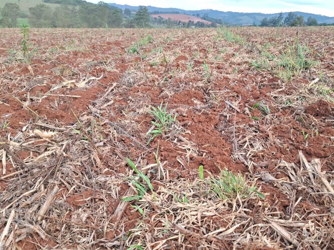 Fazenda, Zona Rural, 0 Quarto, 0 Vaga