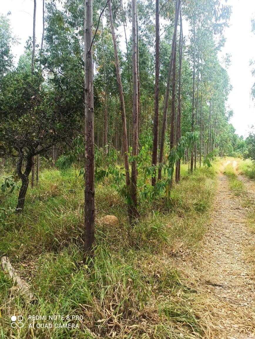 Fazenda, Zona Rural, 0 Quarto, 0 Vaga