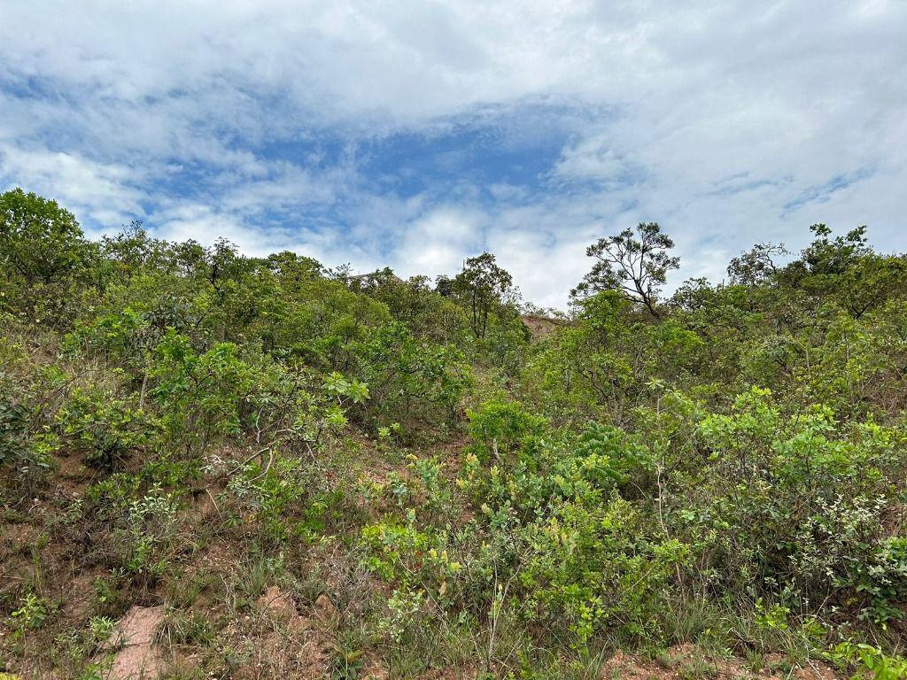 Lote, Santo Antônio (roça Grande), 0 Quarto, 0 Vaga