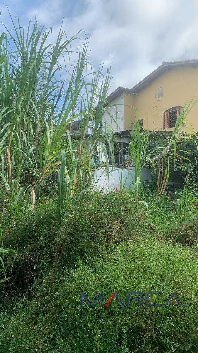 Lote, Santa Rosa, 0 Quarto, 0 Vaga