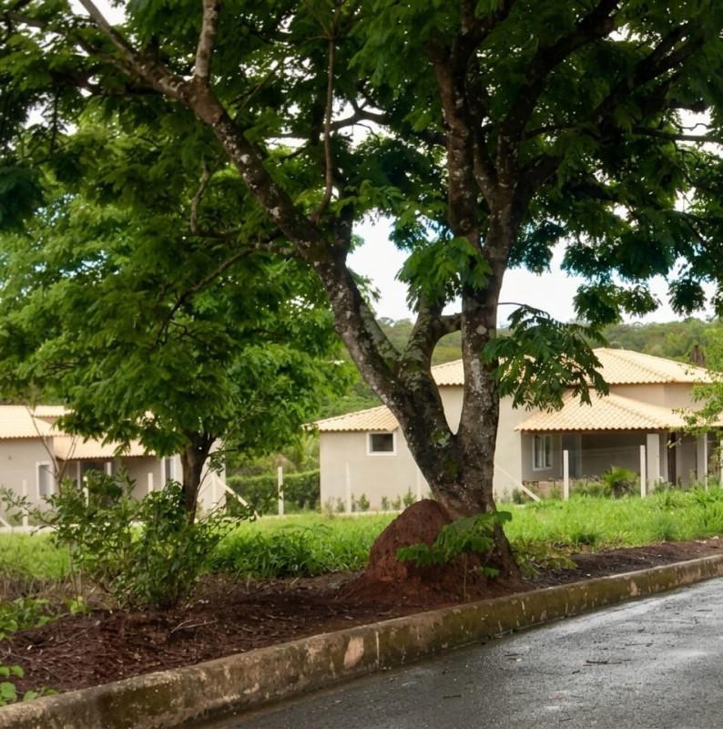 Lote, Campinho, 0 Quarto, 0 Vaga