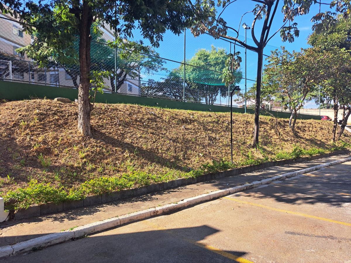 Apartamento, Santa Amélia, 2 Quartos, 1 Vaga